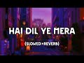 HAI_DIL_YE_MERA_(Slowed×Reverb) || Hate Story 2 || Arijit Singh || lofi || feel 4 u