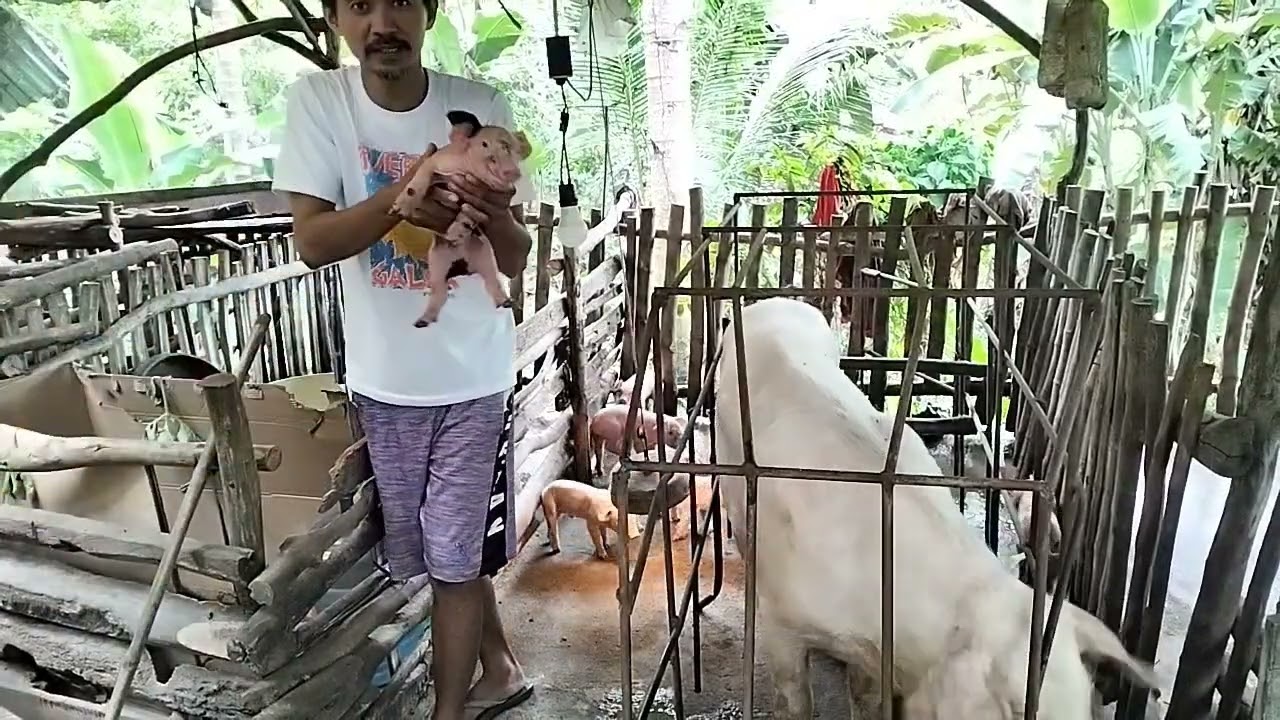 Pilay na biik ito lang gamit ko..