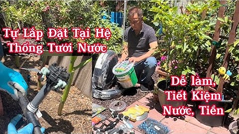 Cách Lắp Đặt Hệ Thống Tưới Nước Tự Động Tại Nhà Tốt Cho Cây Trước Khi Đi Du Lịch Xa