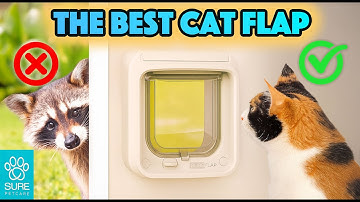 We installed the SureFlap Microchip Cat Flap Connect with DualScan Technology