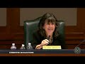 Voter registration, databases take center stage at committee hearing on elections