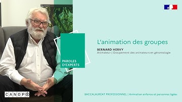 L’animation des groupes - Bernard Hervy