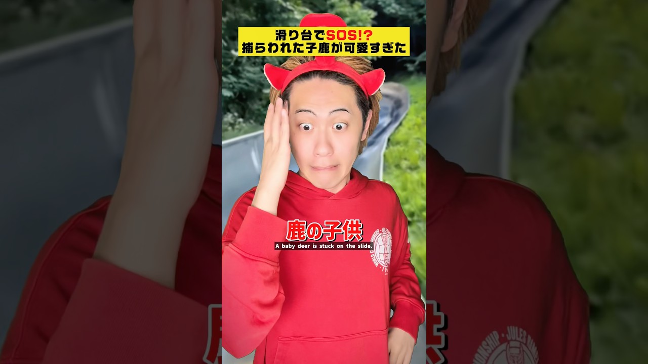 見てないで助けて！滑り台の子鹿が可愛すぎた #クスッと動画 #shorts