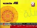 سلة الألوان أصفر طيور الجنة 2008