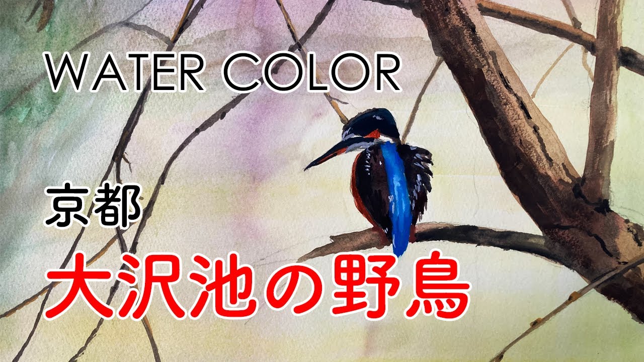 水彩画｜京都 大沢池の野鳥 | watercolor - YouTube