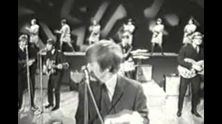 Herman's Hermits I'm Into Something Good