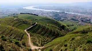 Discover The Wines of the Rhone Valley, Part 1 of 3