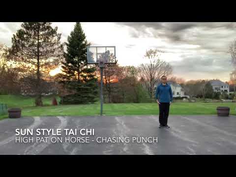 Sun Style Tai Chi Single Form Reps V13, with Way Sun  (High Pat on Horse - Chasing Punch)