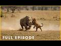 PRIMAL RHINO MIGHT - Giants Rule by Strength (Full Episode) | Nature Animal Documentary