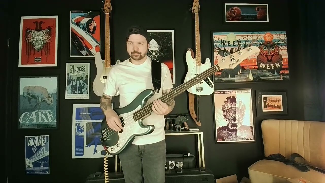 The Only Difference Between Martyrdom... Panic! At The Disco Bass Cover