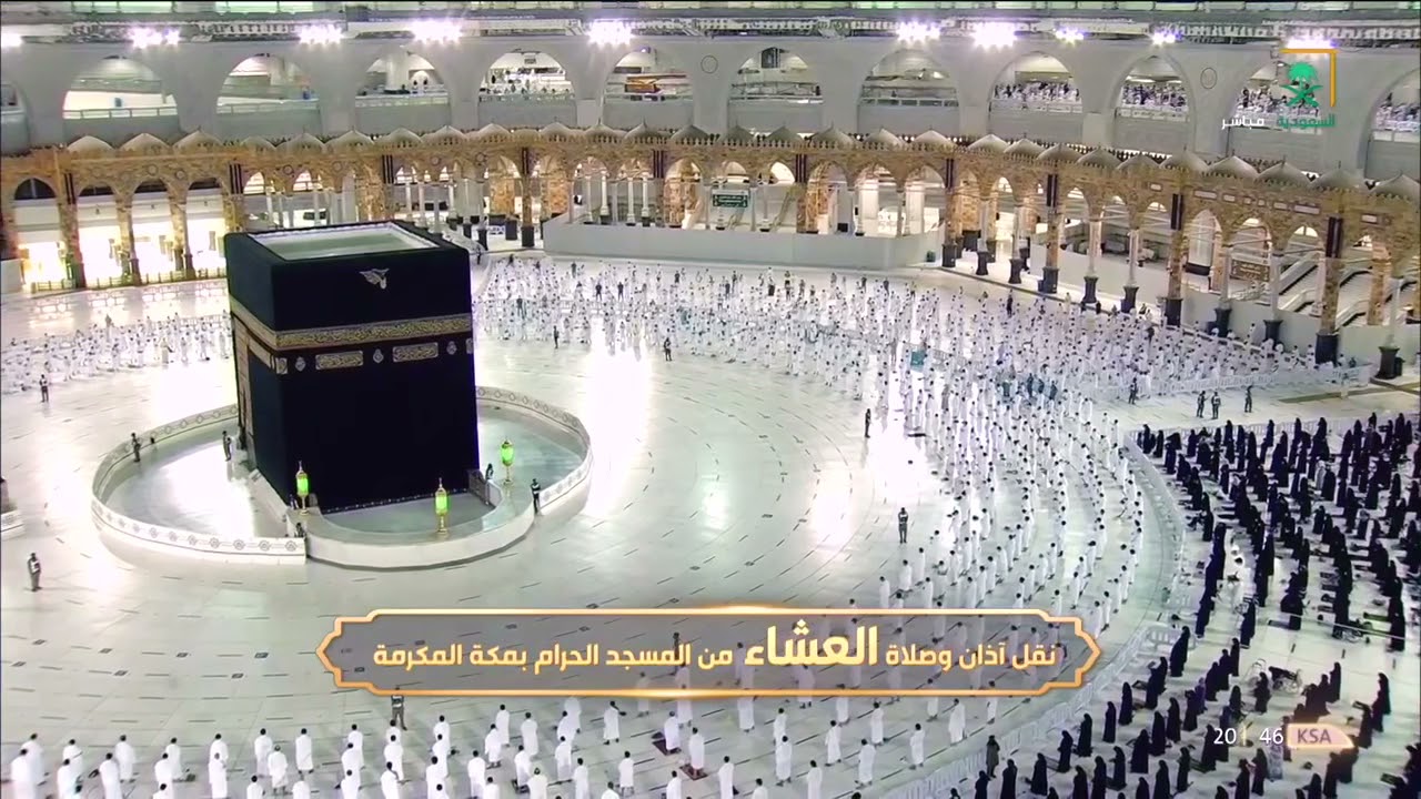 "إن الله وملائكته يصلون على النبي" عشائية بلمحات حجازية | الخميس 7-11-1442 هـ د. بندر بليلة