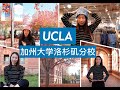 【Irina访校】好莱坞星光璀璨的UCLA加州大学洛杉矶分校｜全美申请人数最多的名校｜学习生活两不误