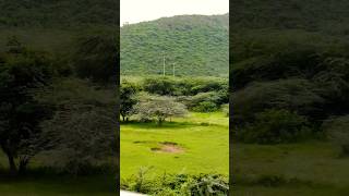 Download Lagu #shorts#chaayaheijodilpe#kavitakrishnamurthy#shaan#youtubeshorts#trendingsong#mousumisgardeningtips MP3