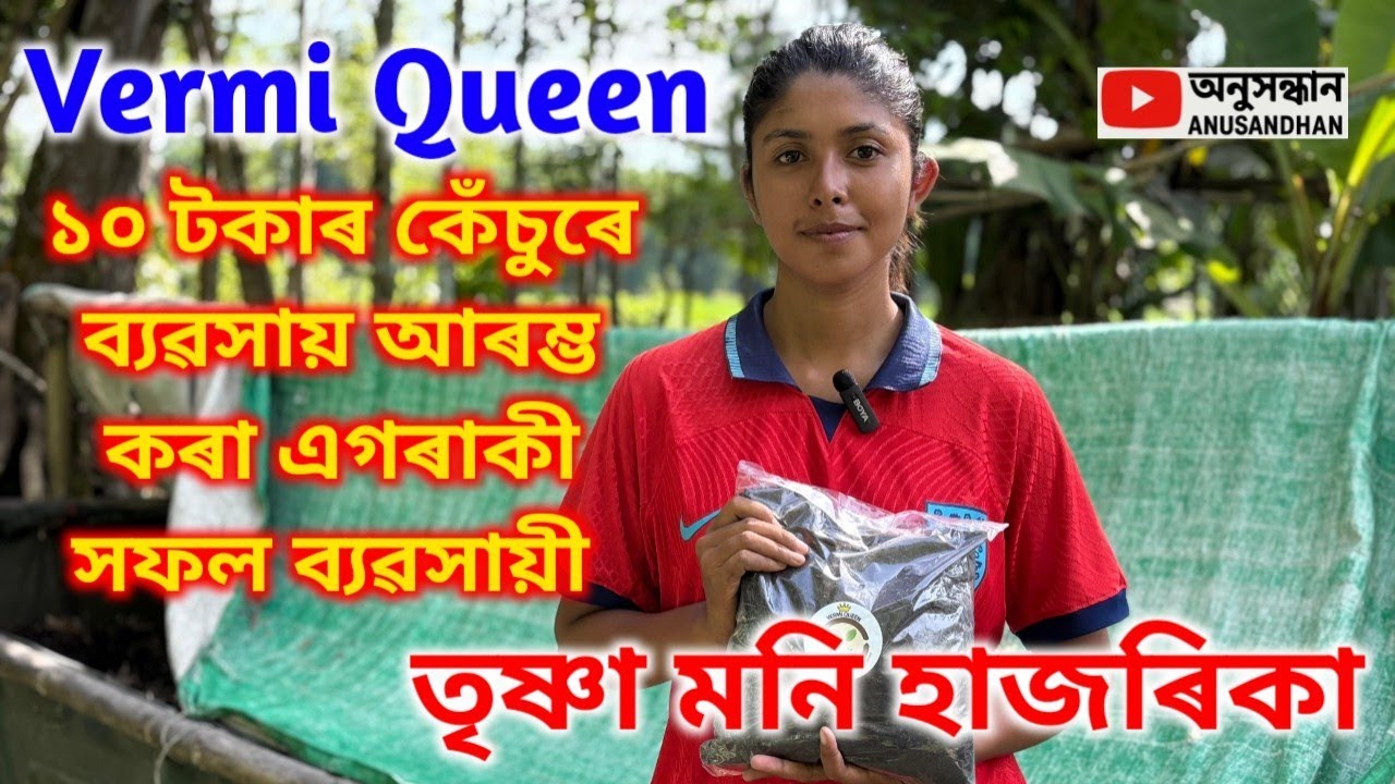 Vermi Queen তৃষ্ণা মনি হাজৰিকা 