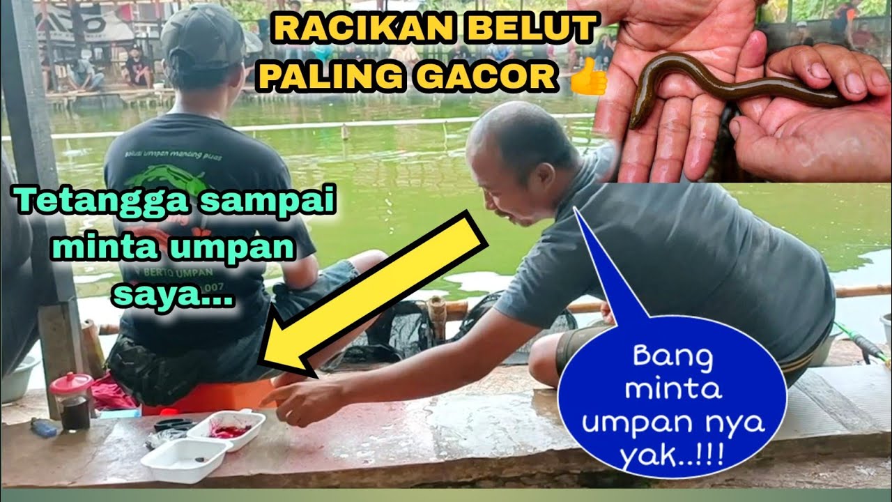 TETANGGA SAMPAI MINTA UMPAN SAYA GARA GARA NARIK TERUS..!!! NEW RACIKAN BELUT MATADOR..!!!
