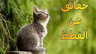 حقائق غريبة عن القطط | لم تكن تعرفها | الموسوعة العلمية