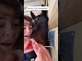 This is what unconditional love looks like#fyp #horse #love #animalslove #fouryou