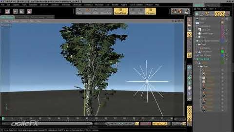 Designing a leaf generator (C4D)