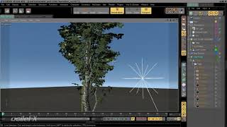 Designing a leaf generator (C4D)