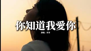 羊羊 - 你知道我愛你『你知道我愛你真心真意，你知道我永遠都不放棄。』【動態歌詞MV】