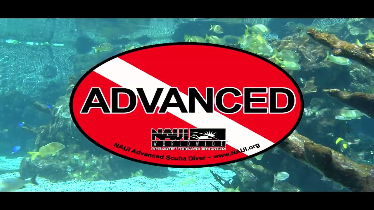 NAUI Certified Diver programs