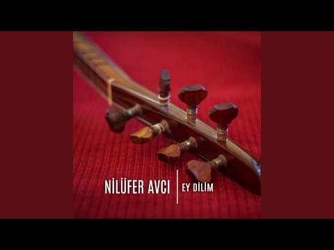 Ey Dilim (Canlı Performans)