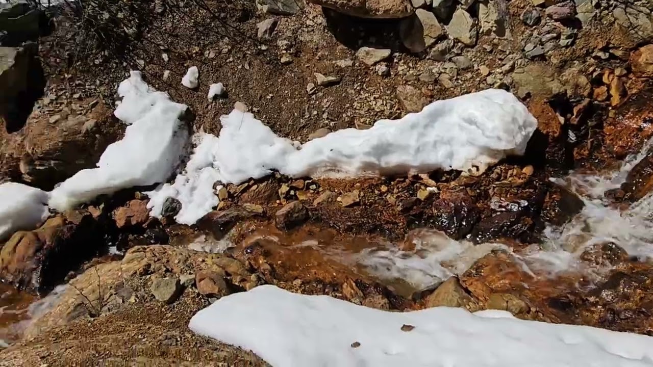 WEST SHEEP MOUNTAIN/JACKASS CANYON 5/14/23