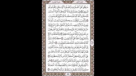 القرآن الكريم بصوت الشيخ سعد الغامدى صفحات  صفحة رقم ( 39 )