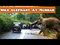 When elephant came towards tourists at munnar kerala