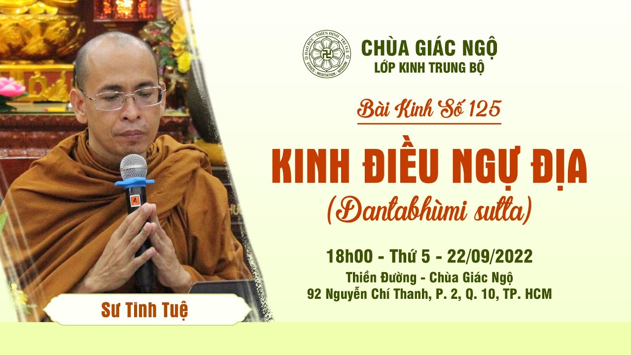 Kinh Trung Bộ 125: KINH ĐIỀU NGỰ ĐỊA - Sư Tinh Tuệ... - youtube