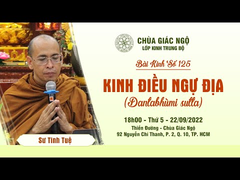 Video Kinh Trung Bộ 125: KINH ĐIỀU NGỰ ĐỊA - Sư Tinh Tuệ... - youtube