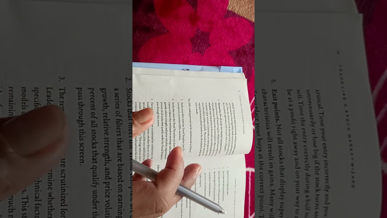 Mark Minervine SEPA Strategy For Bigners chapter - 3