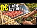 Warum schlaue Handwerker diesen Sommer ihren Strom fressenden Dörrautomaten abschalten