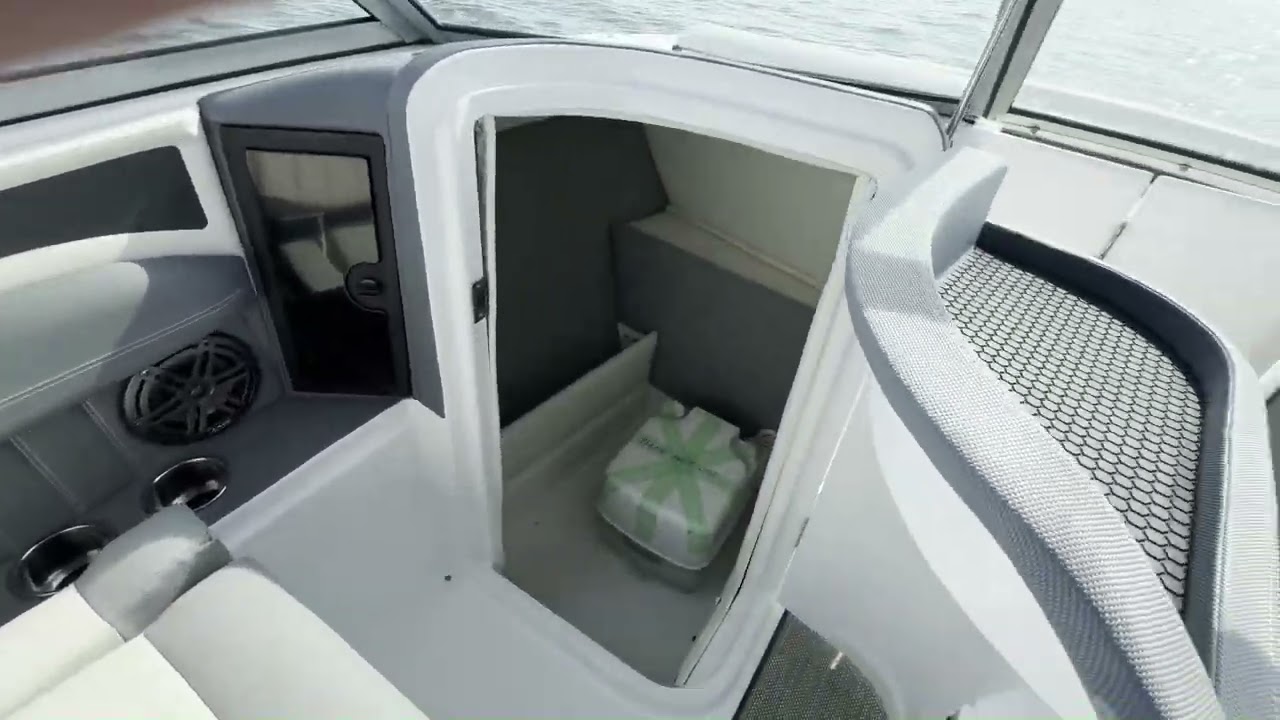 2020 Cobalt 23 SC Walkthrough - Strong's Marine