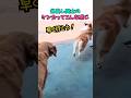 仲良し同士のケンカってこんな感じ