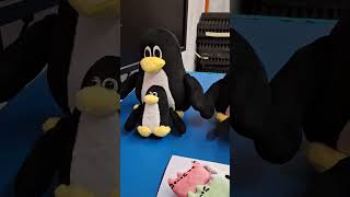 Year Of The Linux Desktop Channel Giveaway. #linux #tux #plushtoys