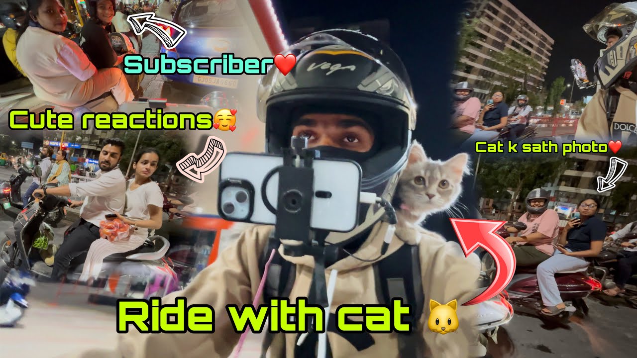 RIDE WITH MY CAT🥰 | PUBLIC REACTIONS🥰 | CUTE GIRLS REACTS🥹 | REACTION VIDEO😇 | MEET MY SUBSCRIBER❤️