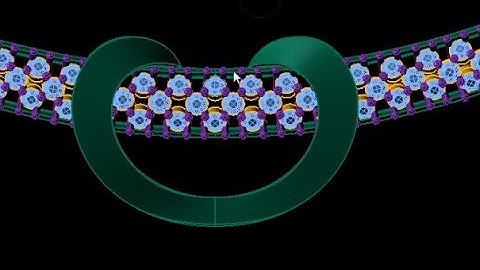 neckless in rhino cad matrix gemvision jewellery design for beginners 24 11 17