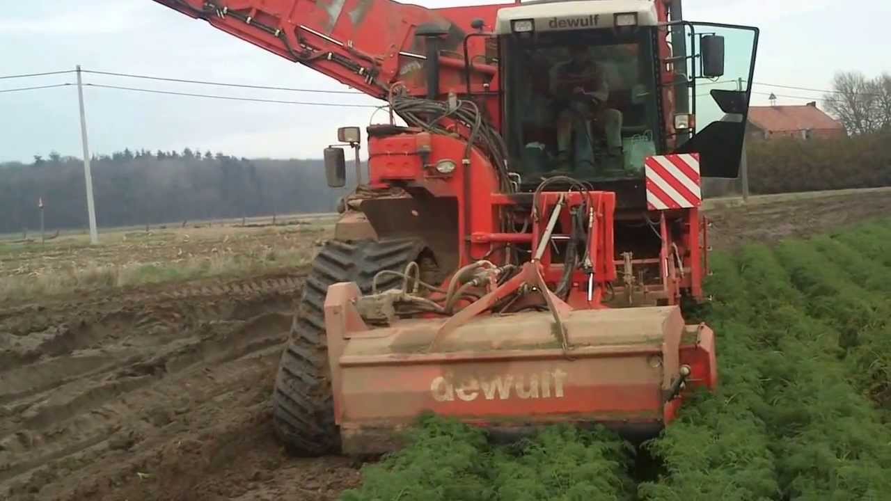 Wortelen rooien Ra 3060 op 3 rupsen