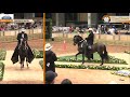 ExpoOriente 2021  Campeonatos Trocha y galope