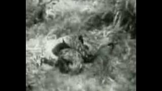 Python attacks leopard