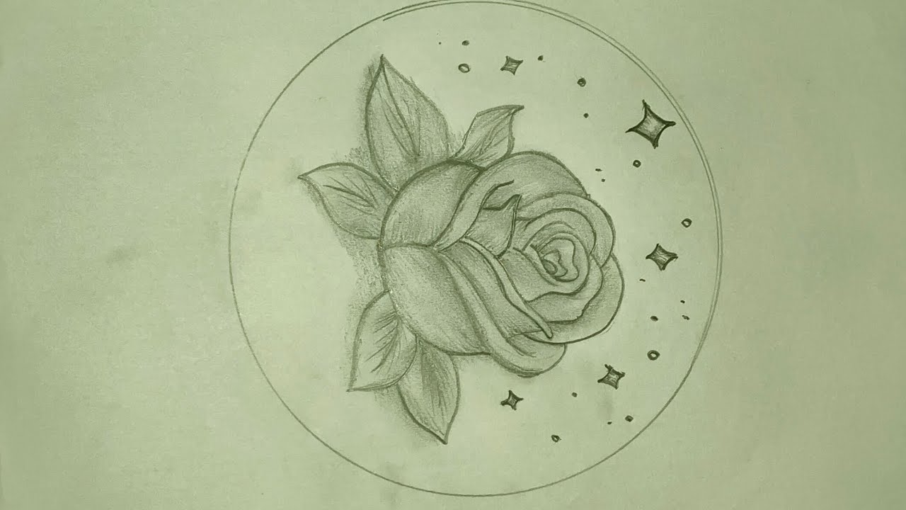 Easy Flower Drawing Step by Step