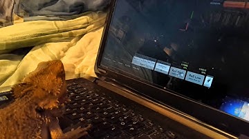 Rollin.io Bitcoin Dice