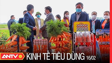 Bản Tin Kinh Tế Tiêu Dùng 16/2: Hải Dương Lần Đầu Tiên Tổ Chức Lễ Hội Thu Hoạch Cà Rốt | ANTV