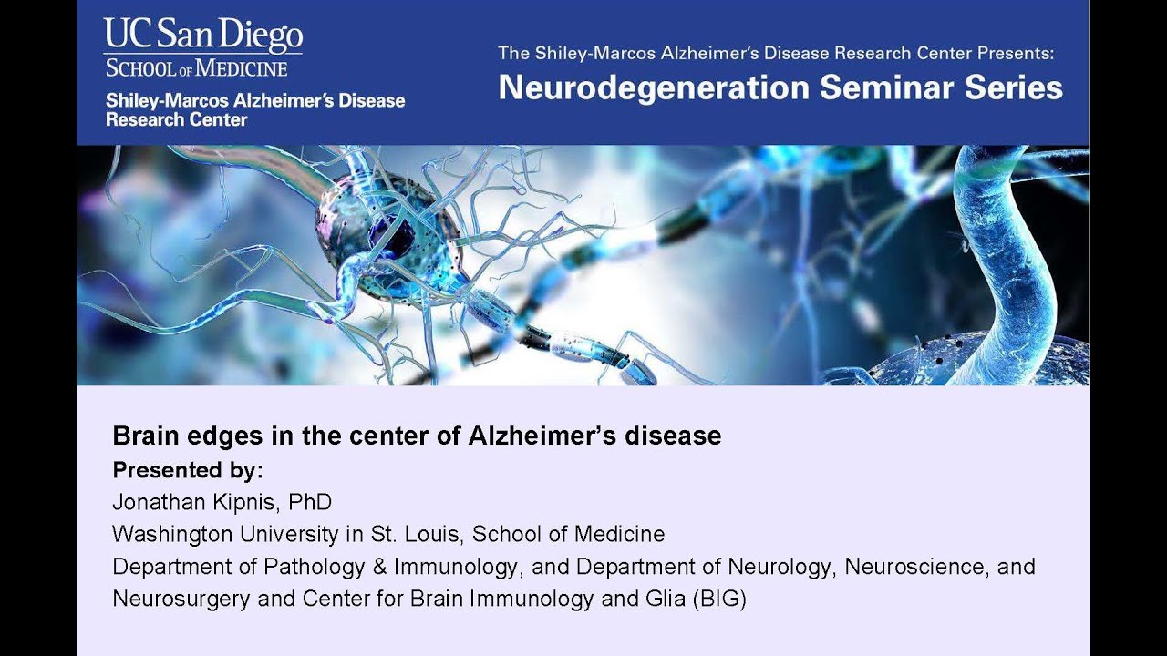 Jonathan Kipnis, PhD - Brain edges in the center of Alzheimer’s disease