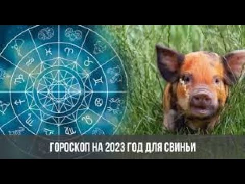 ГОРОСКОП ДЛЯ РОЖДЁННЫХ В ГОД КАБАНА (СВИНЬИ) на 2023 год!