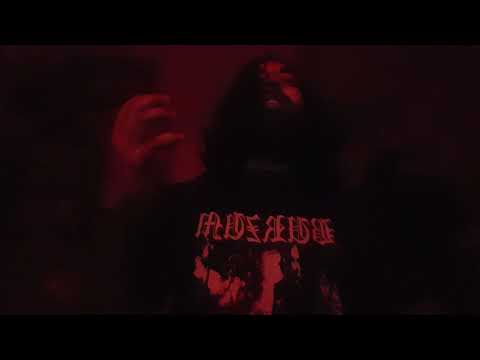 Belphegor-Discipline through punishment [vocal cover]