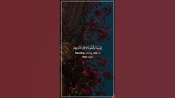 سعد الغامدي سورة آل عمران اجمل حالات واتس اب دينية 🎧💙 Saad Al Ghamidi Surah Al Imran