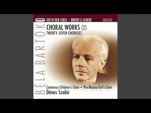 Putar Bull: My Grief - Béla Bartók