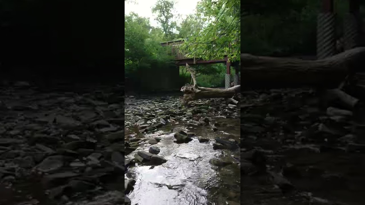 Nature: Stream, Roscoe Ewing Park, OH - Vertical LS - 22070707 (footage by Anree-Julian, PointTV)